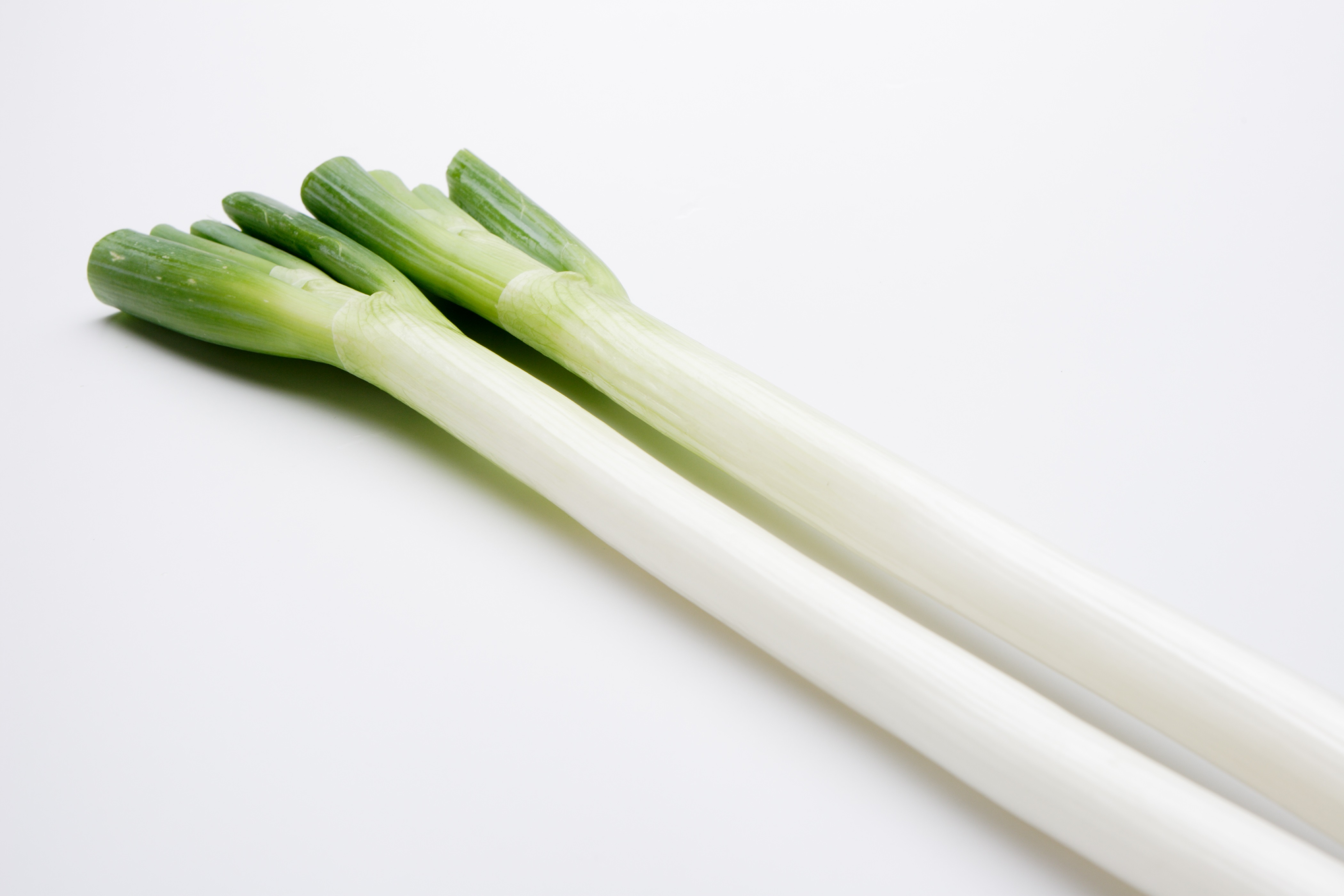 lM̑Iѕ݂݂͂Ĕse͐čd