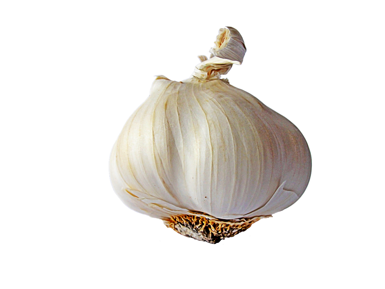 jjNHׂĖƉu͂Abv