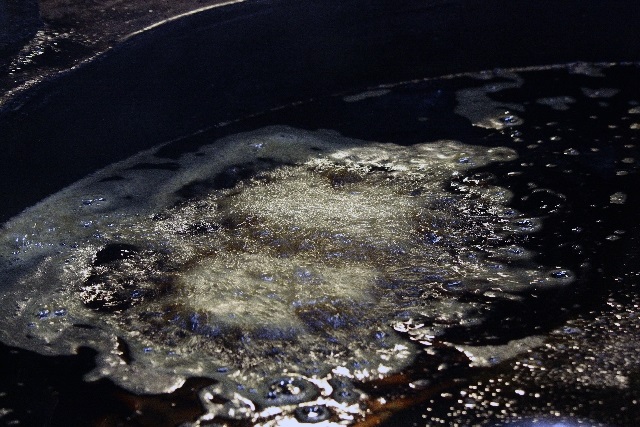 納豆菌が世界の水質汚染を改善する